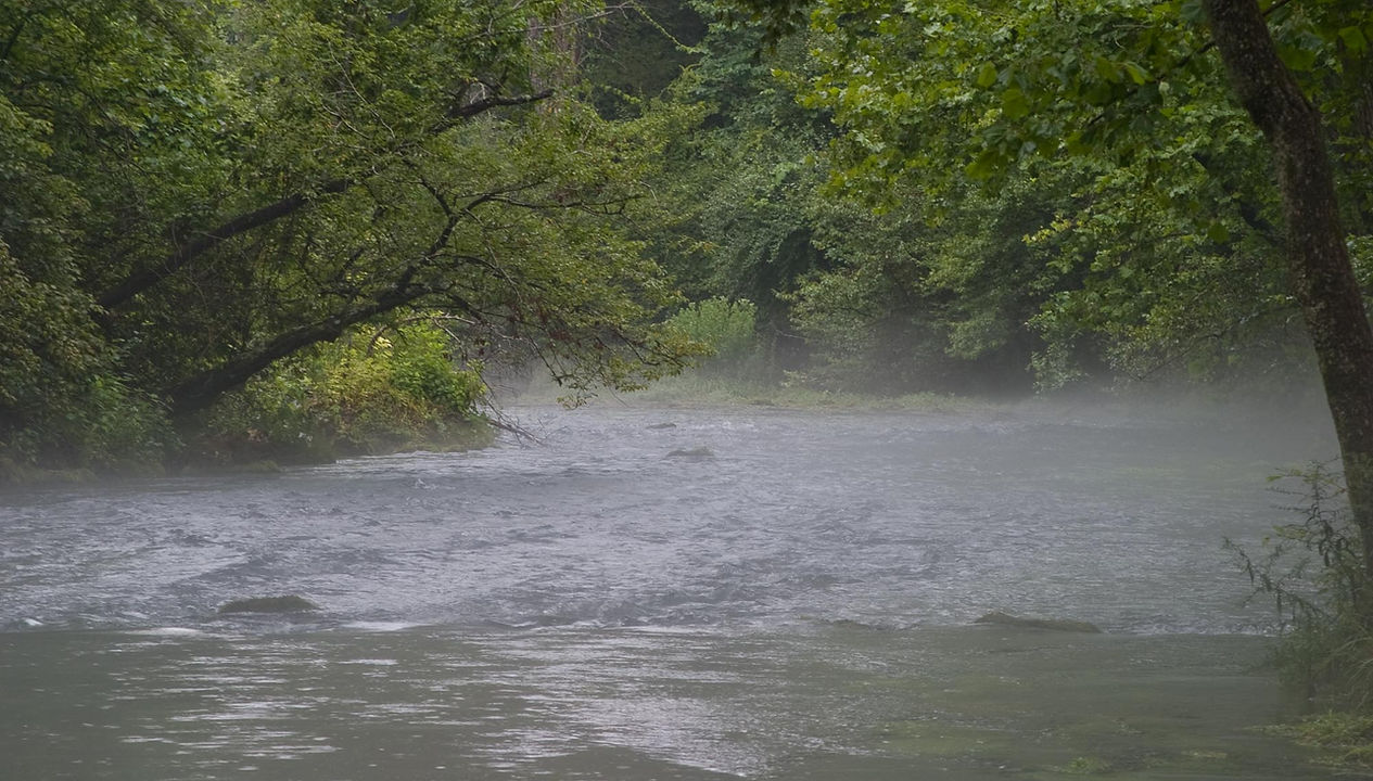 A peaceful river and wooded landscape